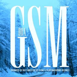 Gsm