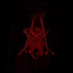 Cover of The Emancipation Procrastination