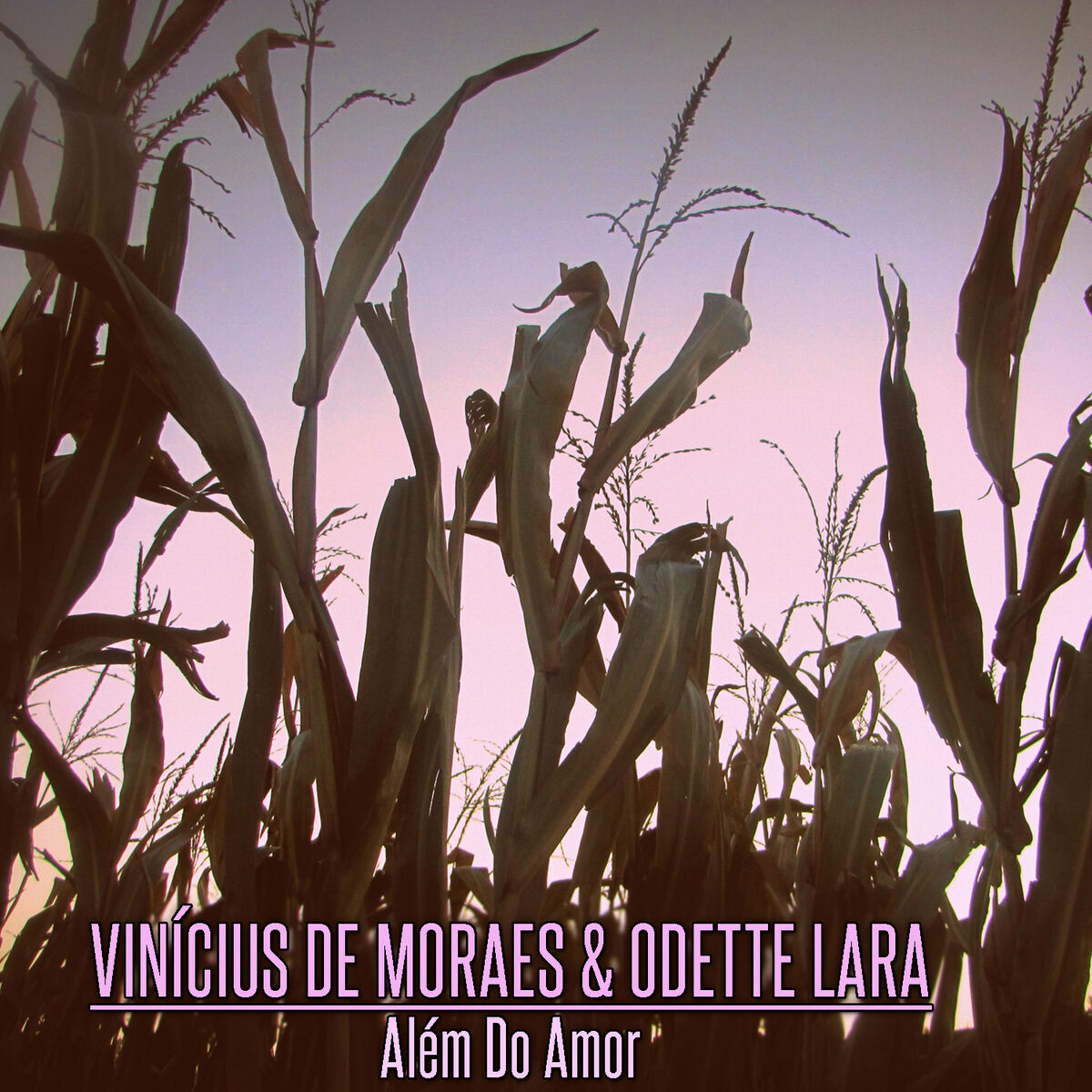 Album cover of Além do Amor