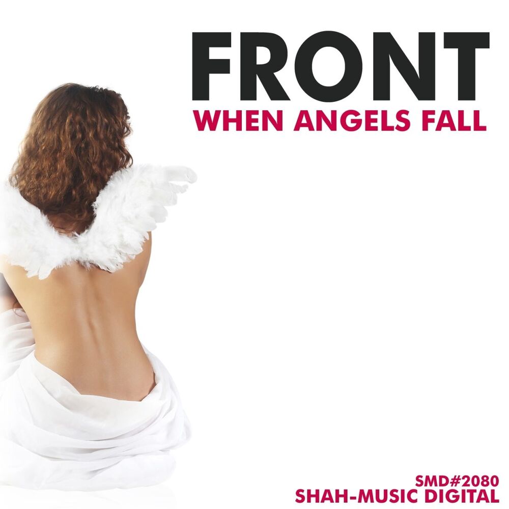 Picture of When Angels Fall