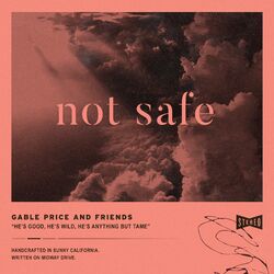 Cover of Not Safe