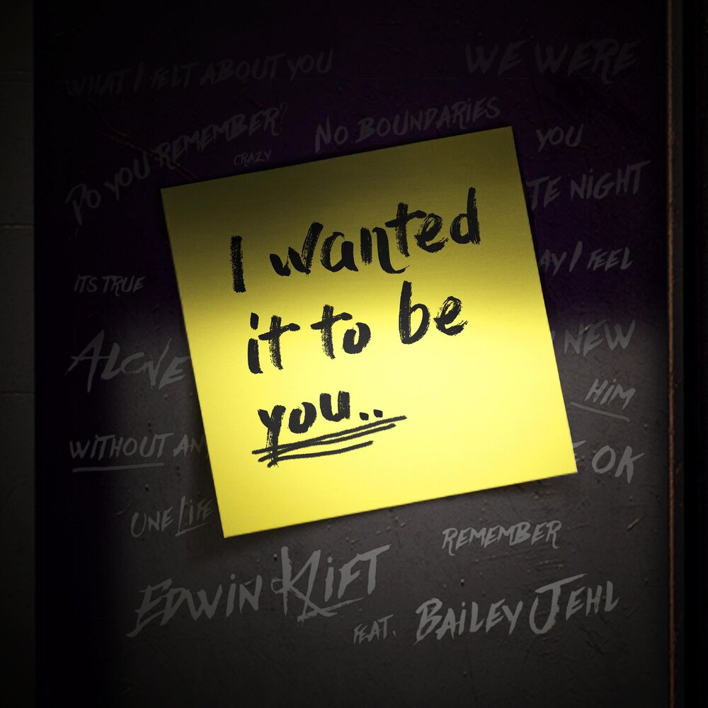 Picture of I Wanted It To Be You (feat. Bailey Jehl)