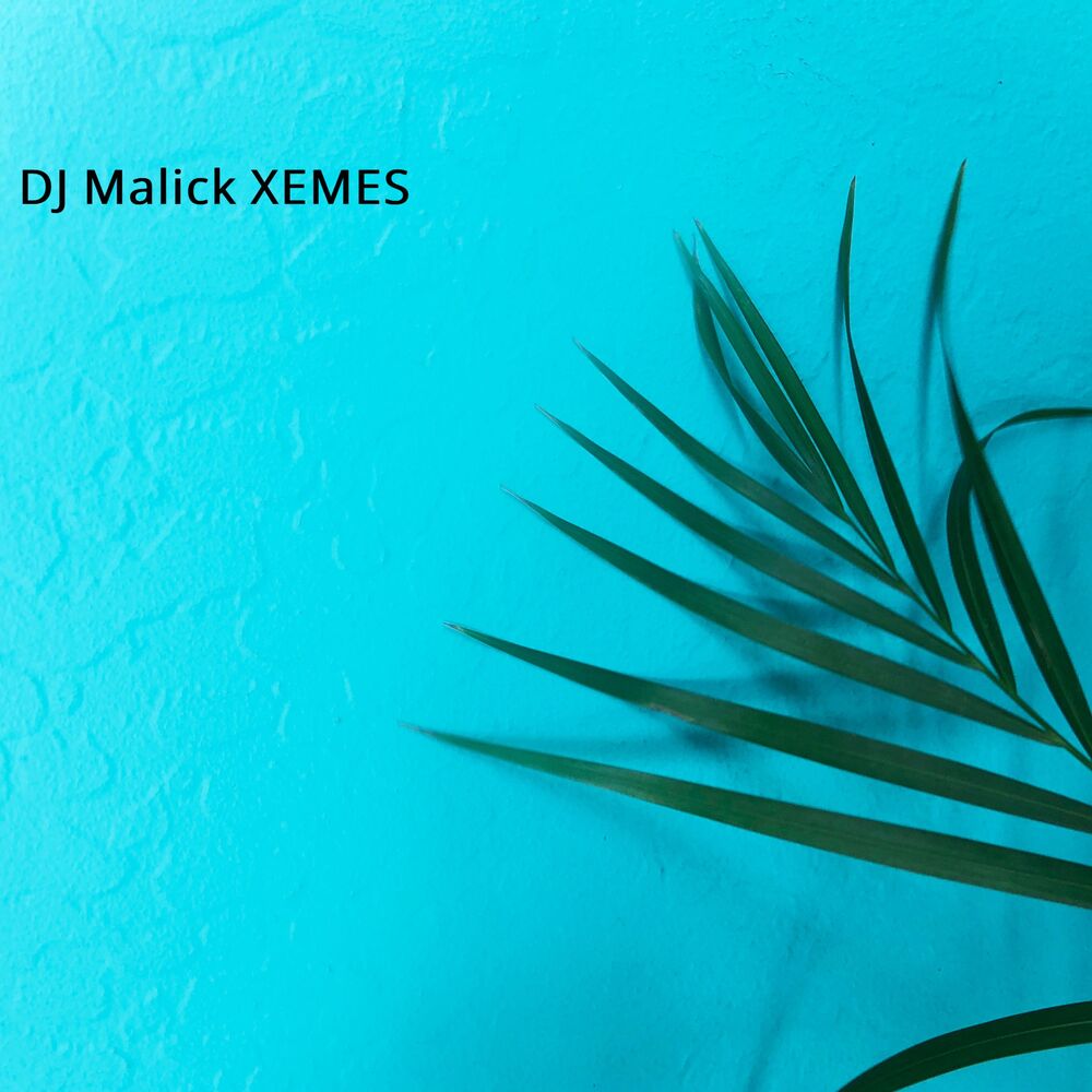 Picture of Xemes