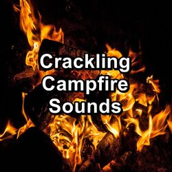 Cover of Crackling Campfire Sounds