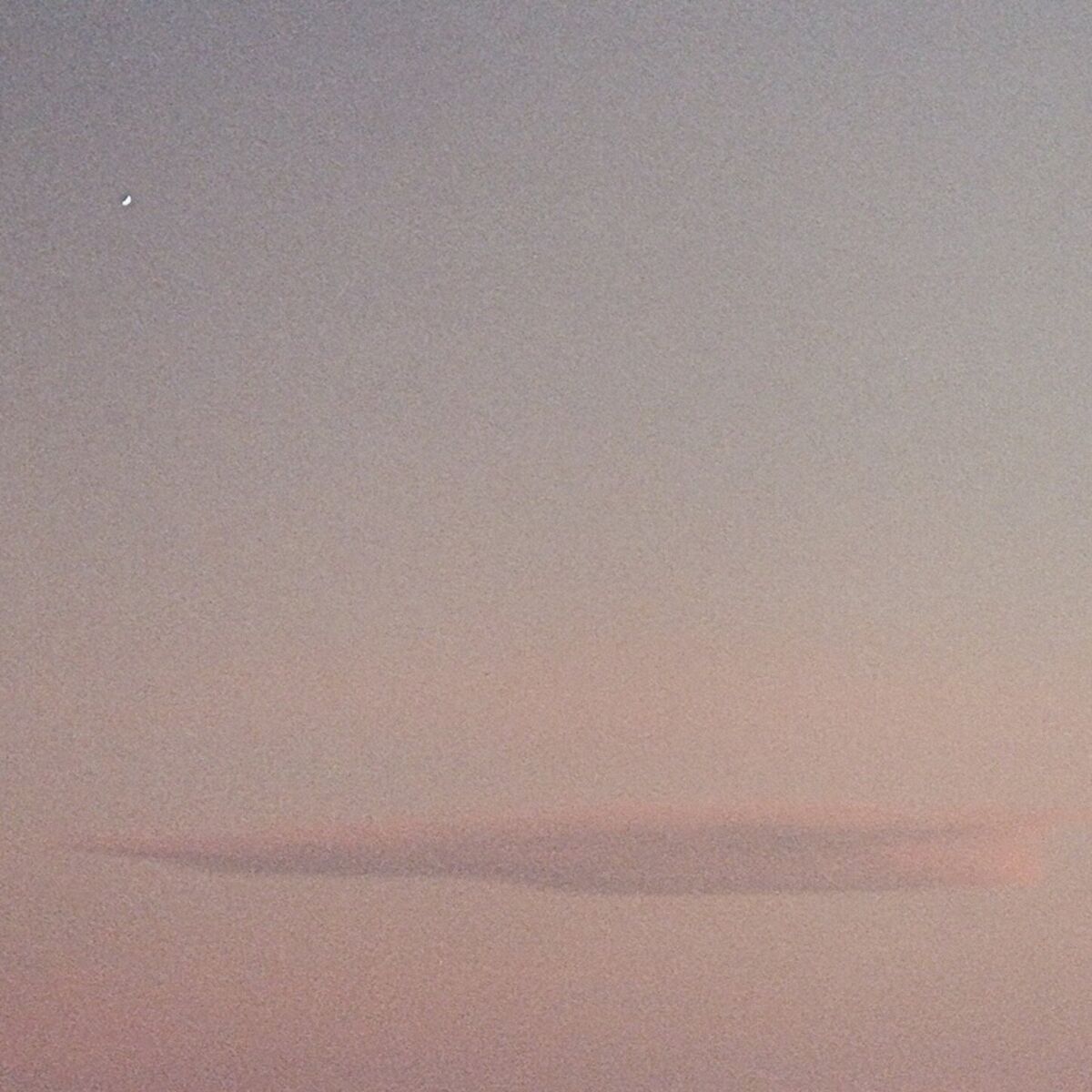 Album cover of Mauve