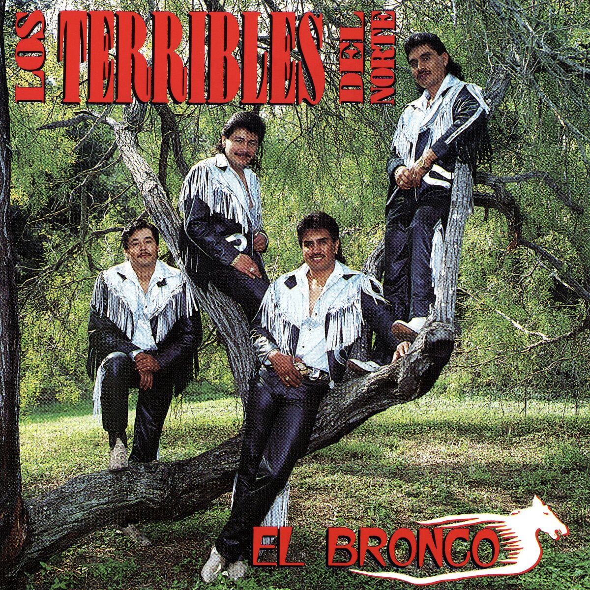 Album cover of El Bronco (Versión Remasterizada)
