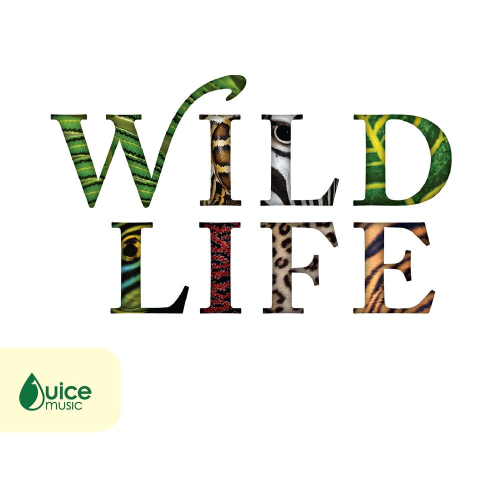 Picture of Wildlife