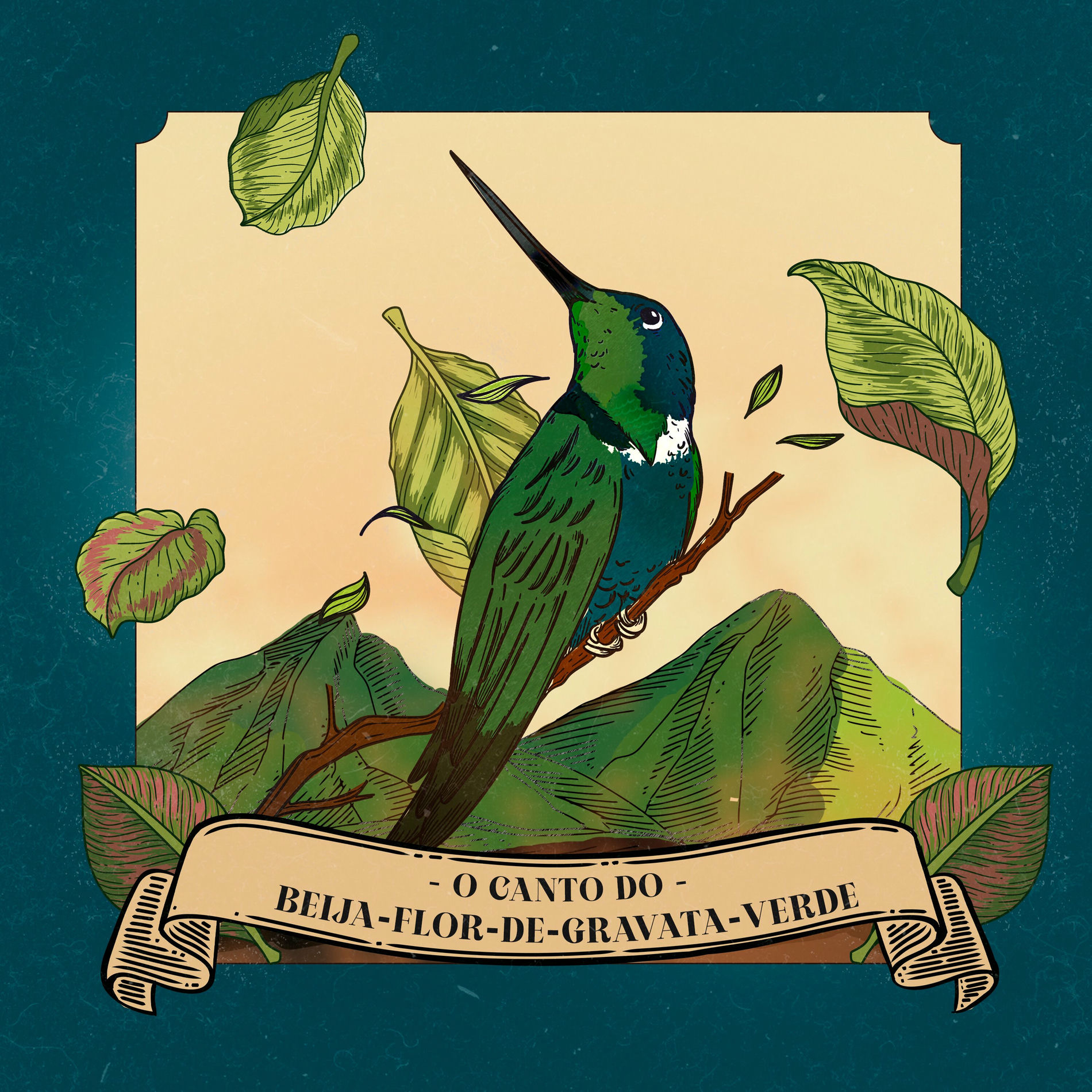 Album cover of Ibérico (O Canto do Beija-Flor-de-Gravata-Verde)