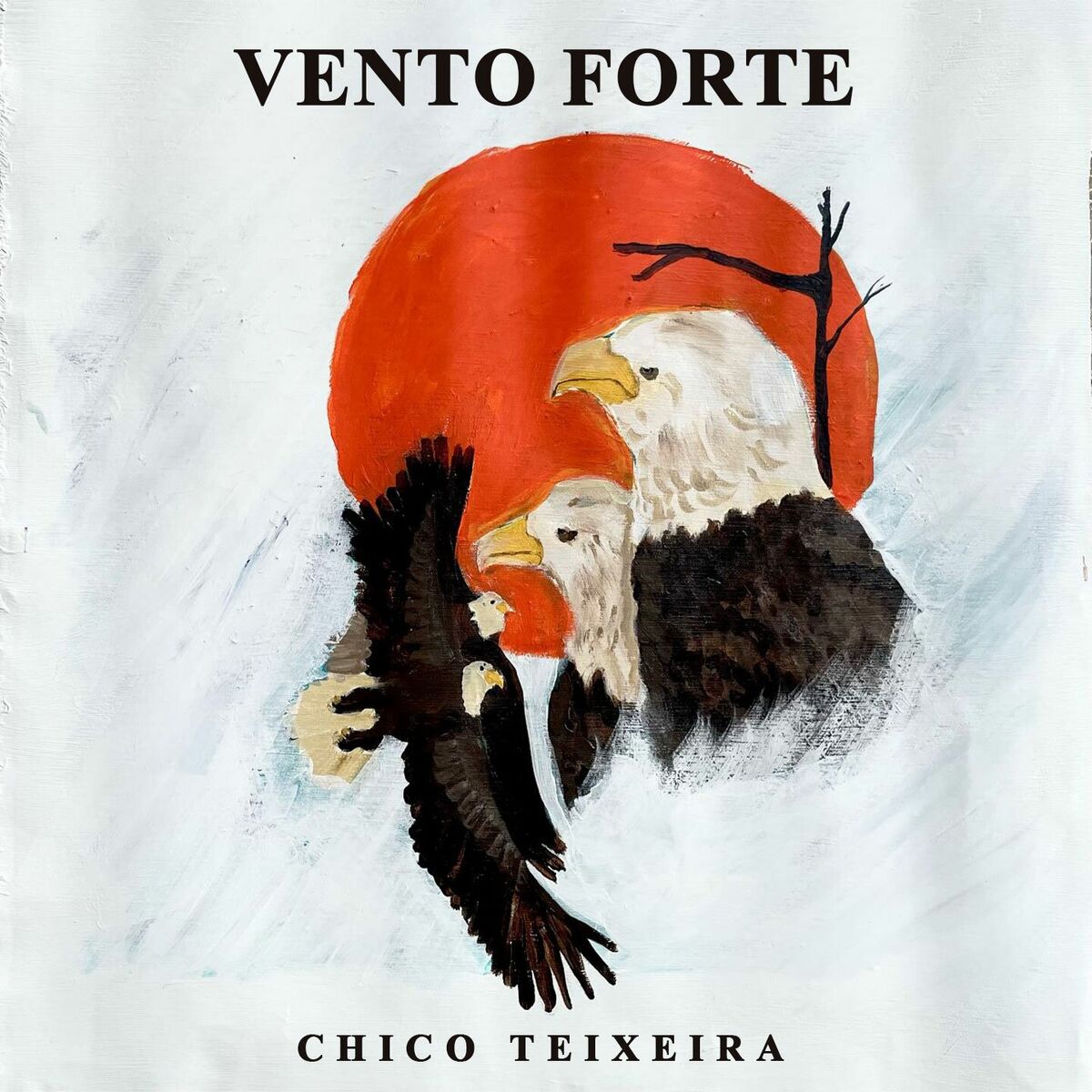 Album cover of Vento Forte