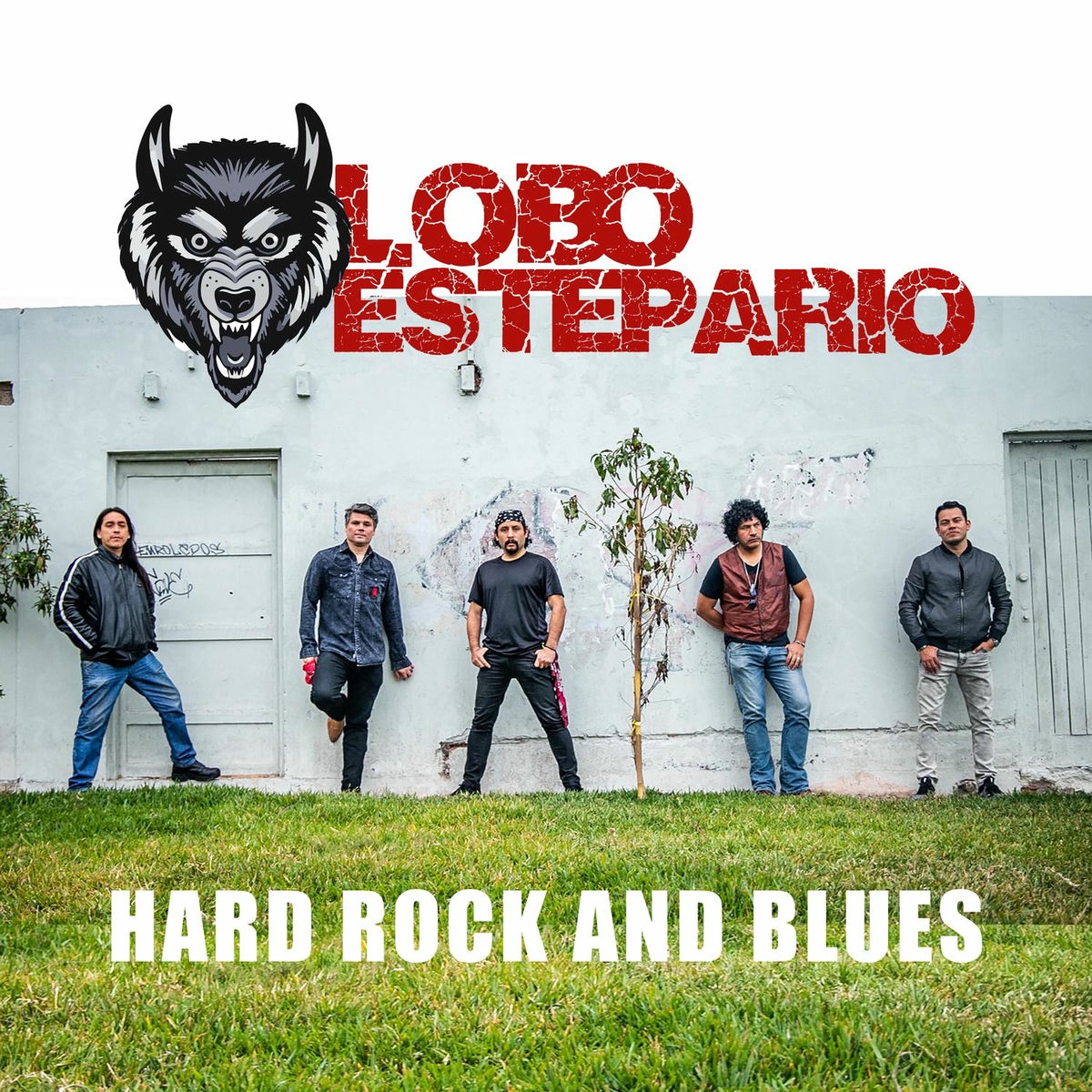 Album cover of Vuelo Alto al Sol