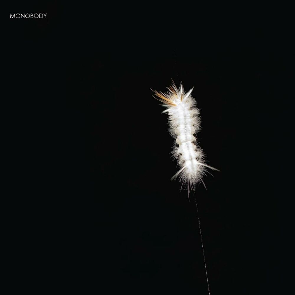Picture of Monobody