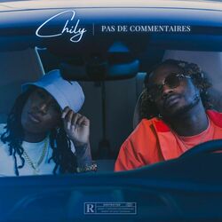 Cover of Pas De Commentaire