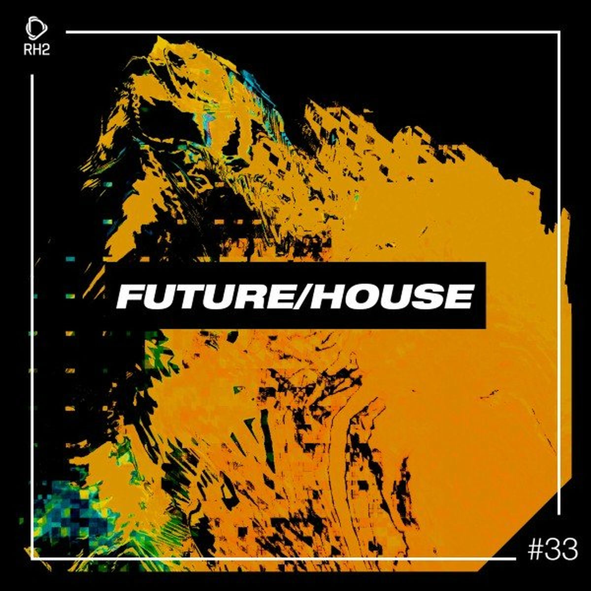 Album cover of Future/House #33