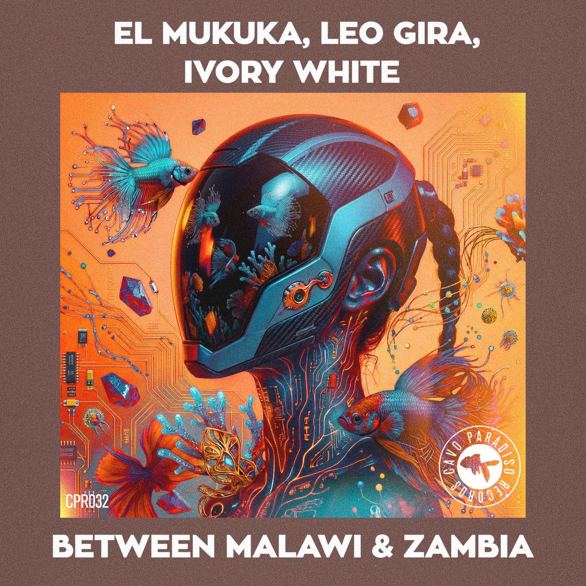 Album cover of Between Malawi & Zambia