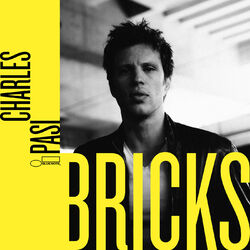 Cover of Bricks