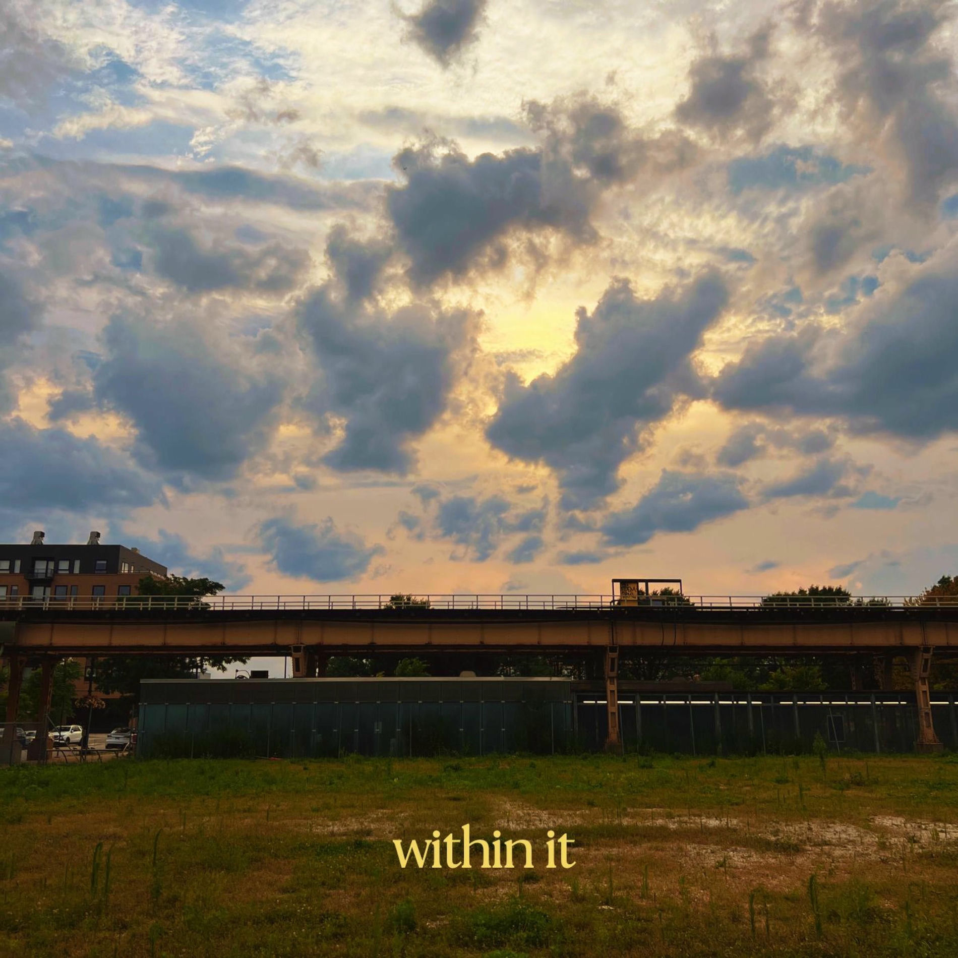 Album cover of Within It