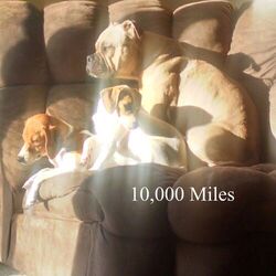 10,000 Miles