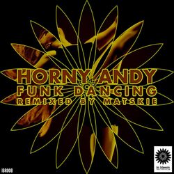 Cover of Funk Dancing