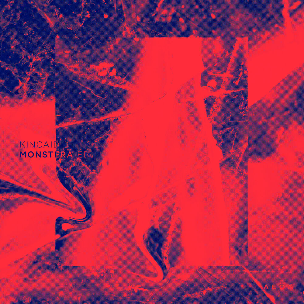 Picture of Monstera EP