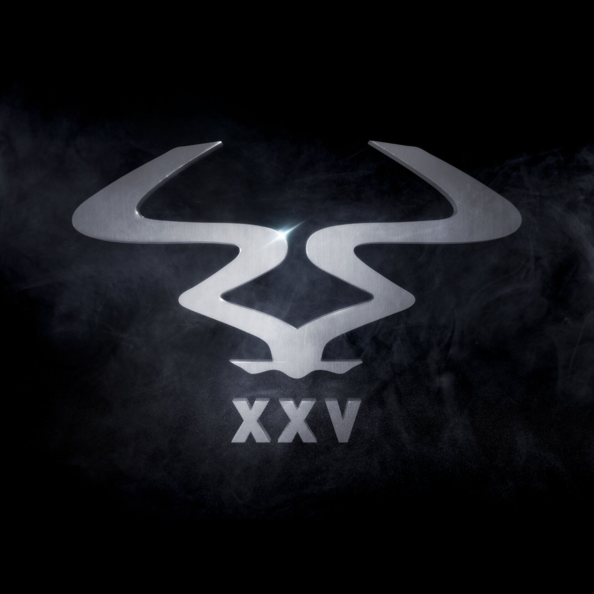 Album cover of RAM 25