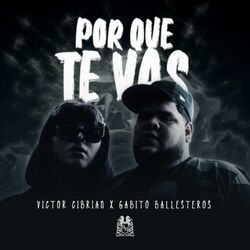 Cover of Porque Te Vas