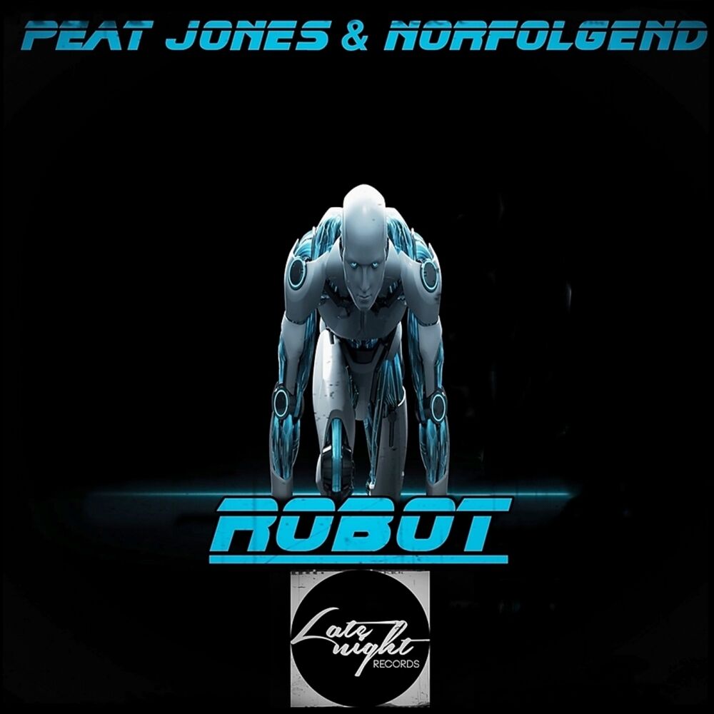 Picture of Robot