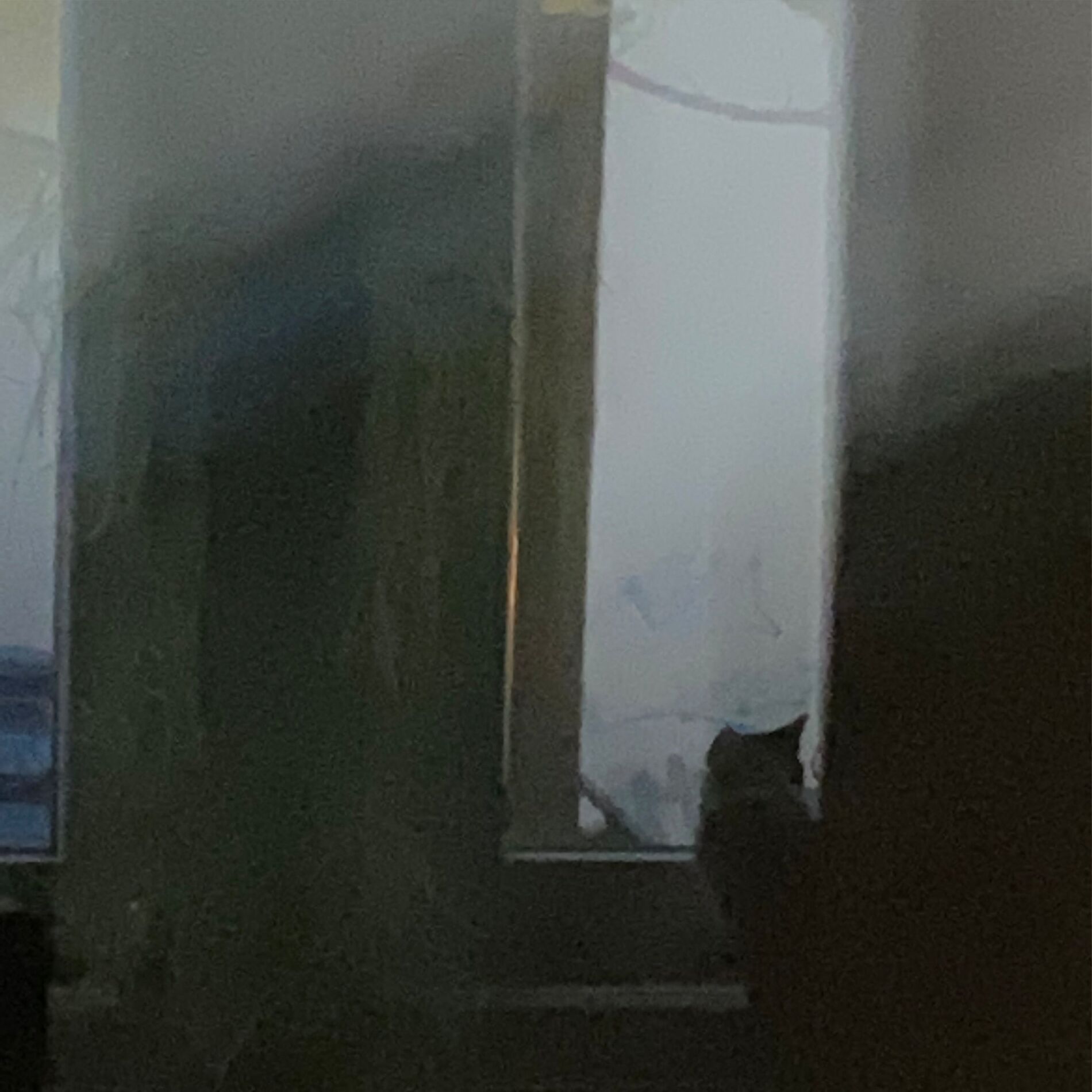 Album cover of the leftovers