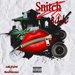 Cover of Snitch Bitch