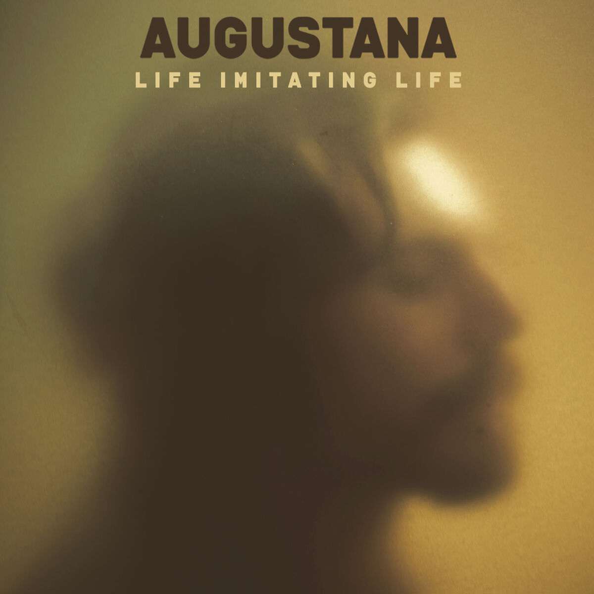 Album cover of Life Imitating Life