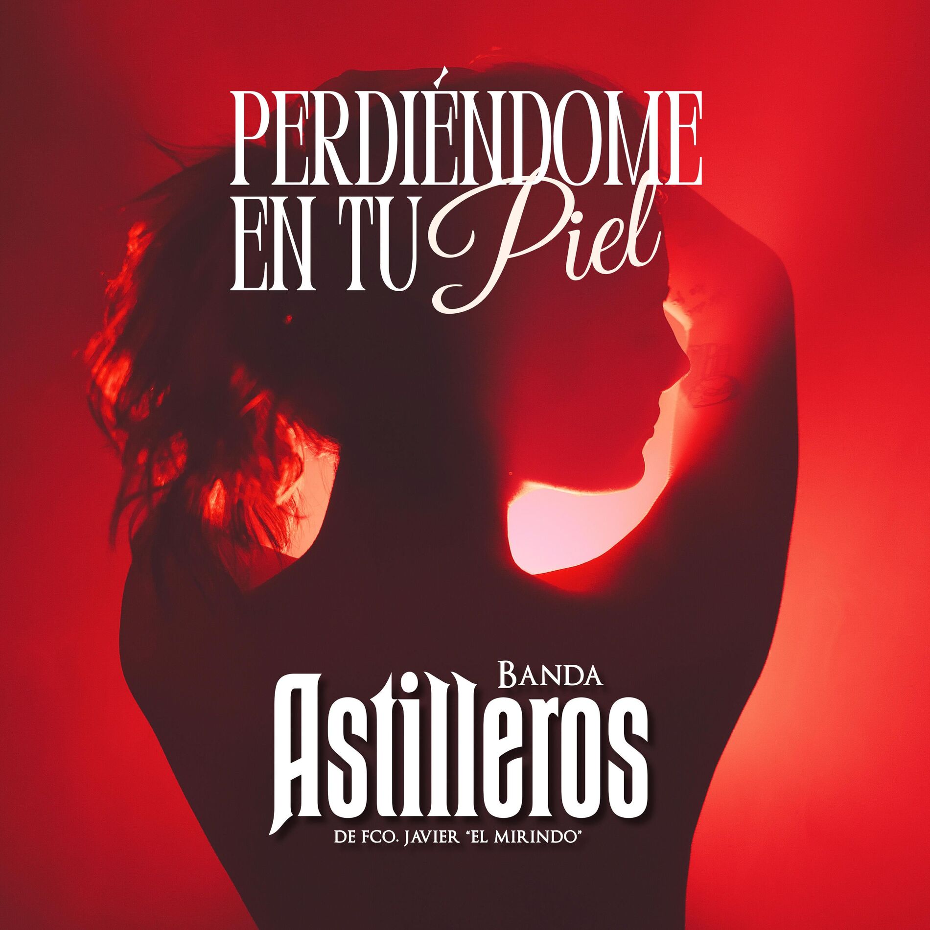 Album cover of Perdiéndome en tu piel