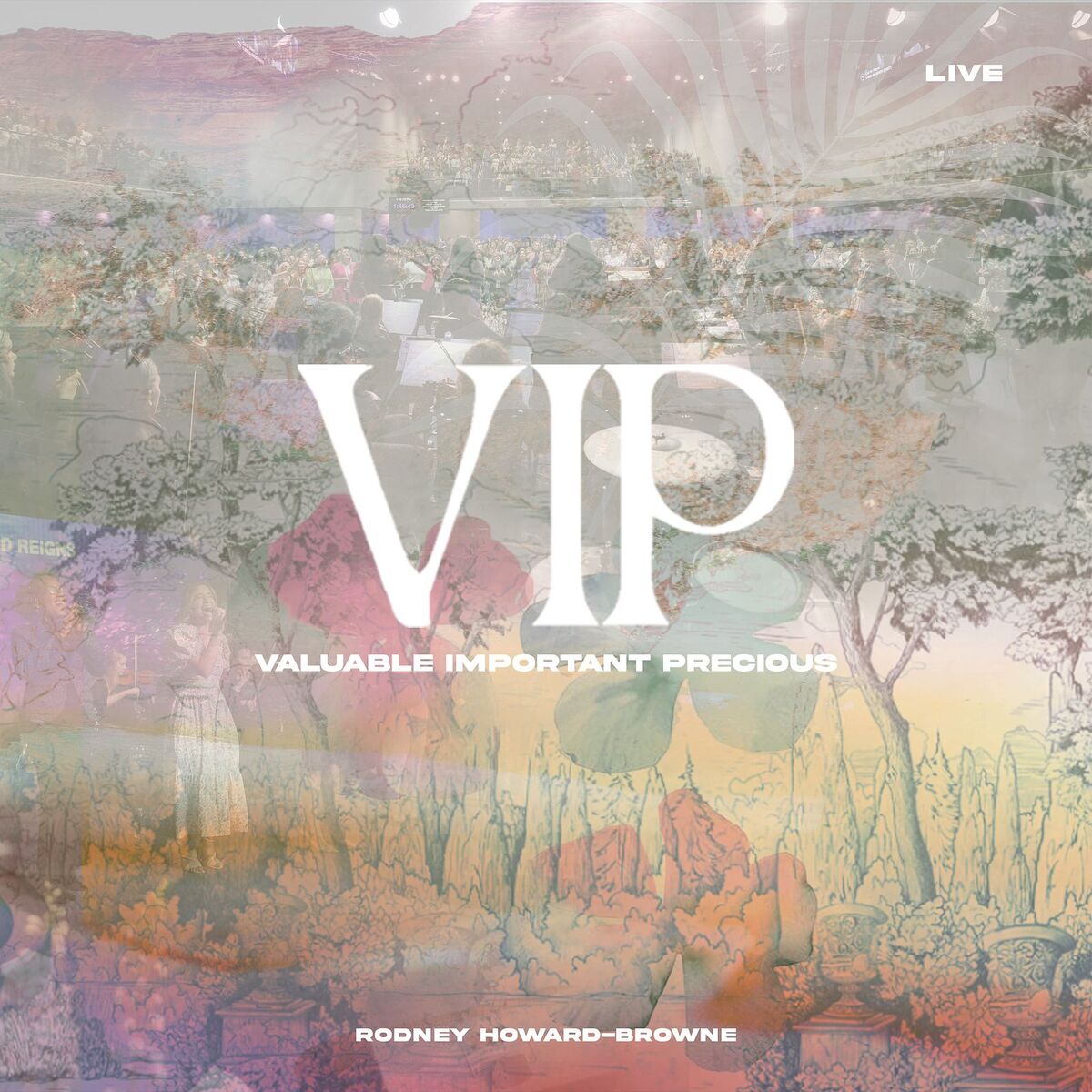 Album cover of Vip (Valuable Important Precious) [Live]
