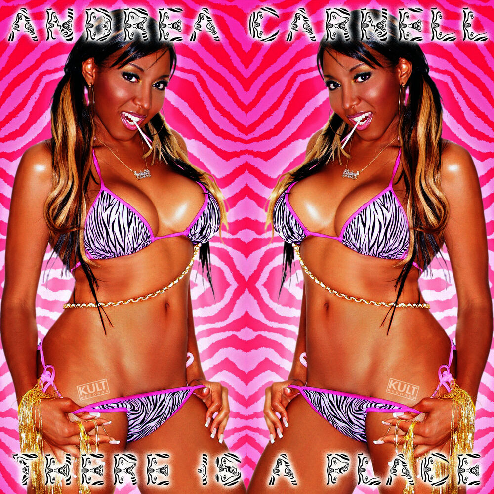 Picture of KULT Records Presents : There Is a Place