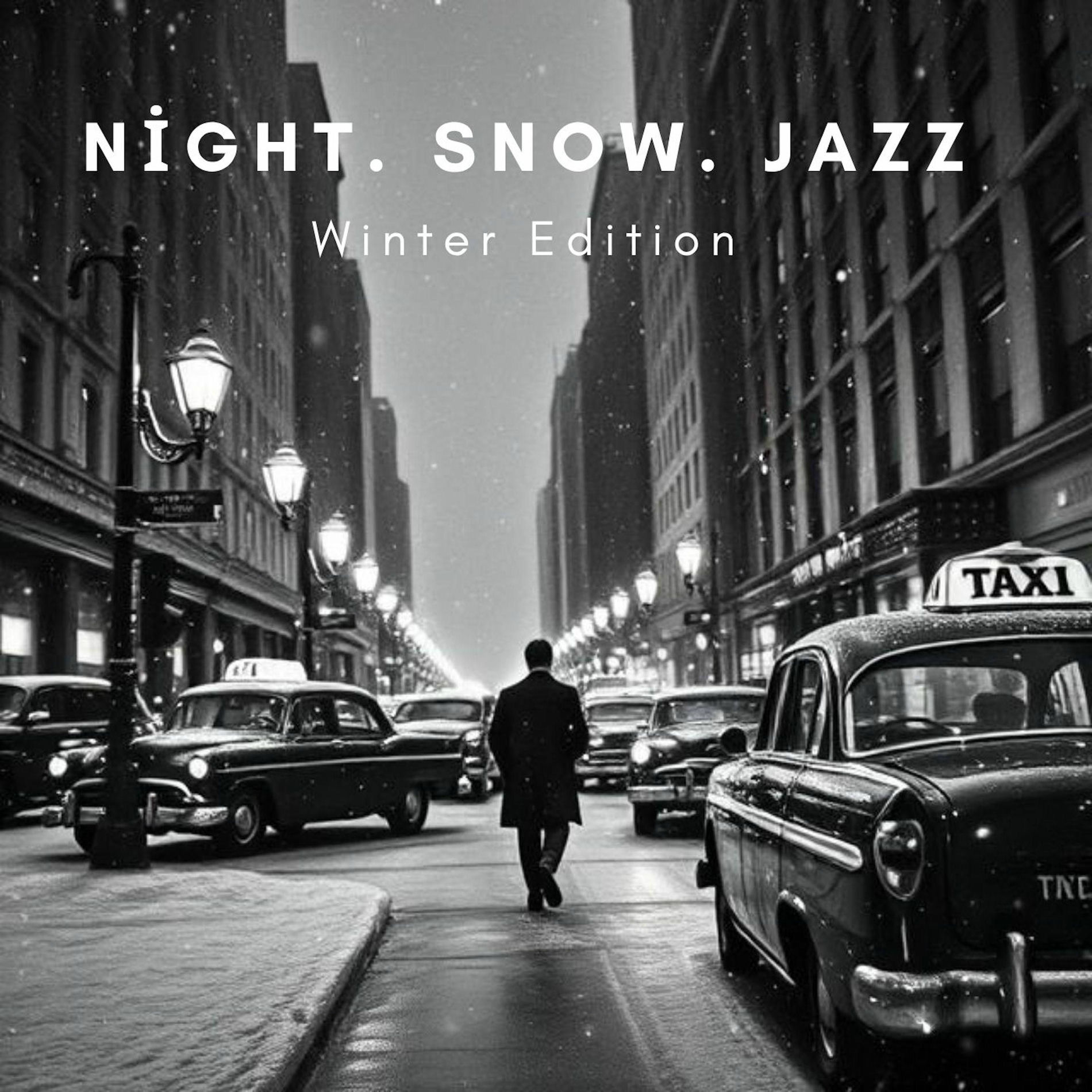 Album cover of Night Snow Jazz