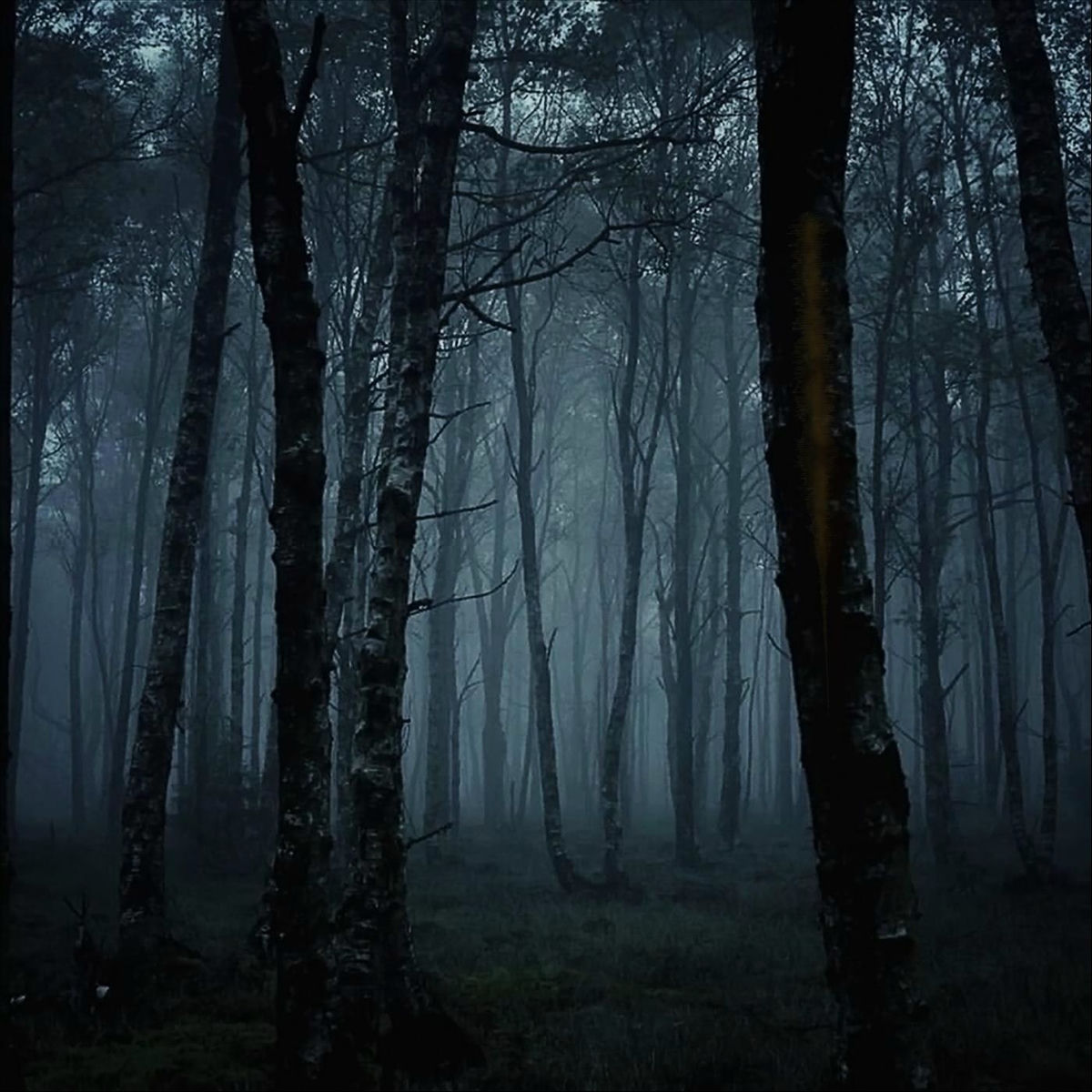 Album cover of Vanished