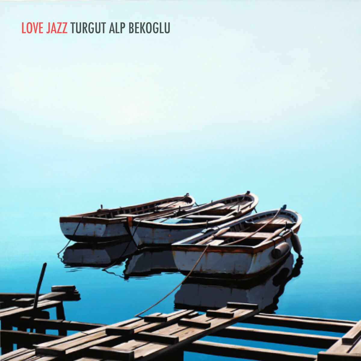 Album cover of Broken Roof