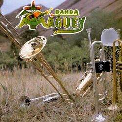 music cover