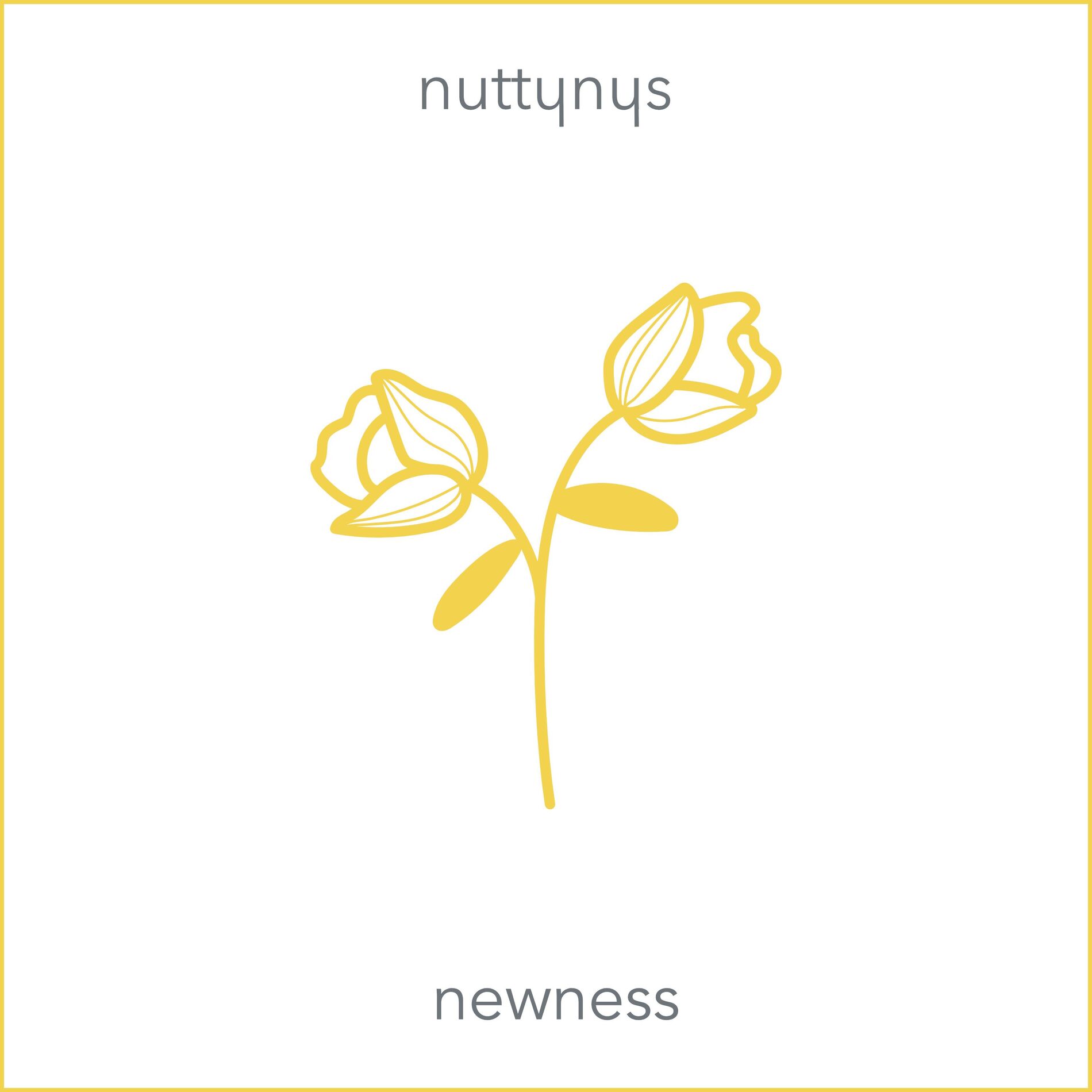 Album cover of Newness