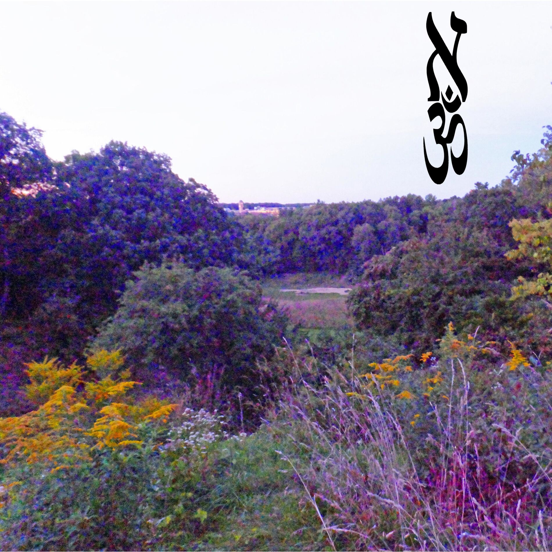 Album cover of Aleph Om