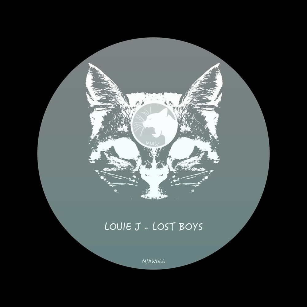Picture of Lost Boys
