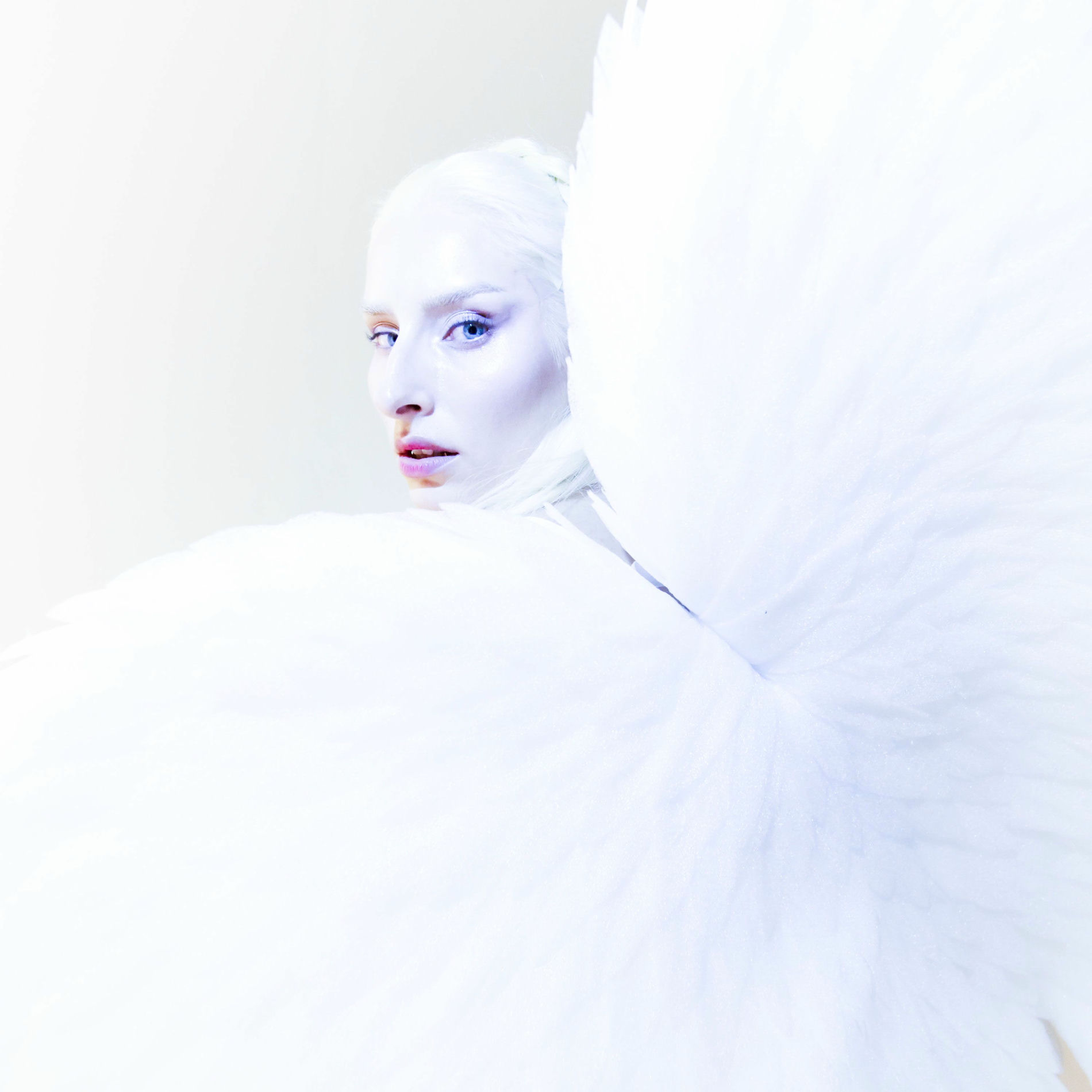 Album cover of Reverie (English Version)