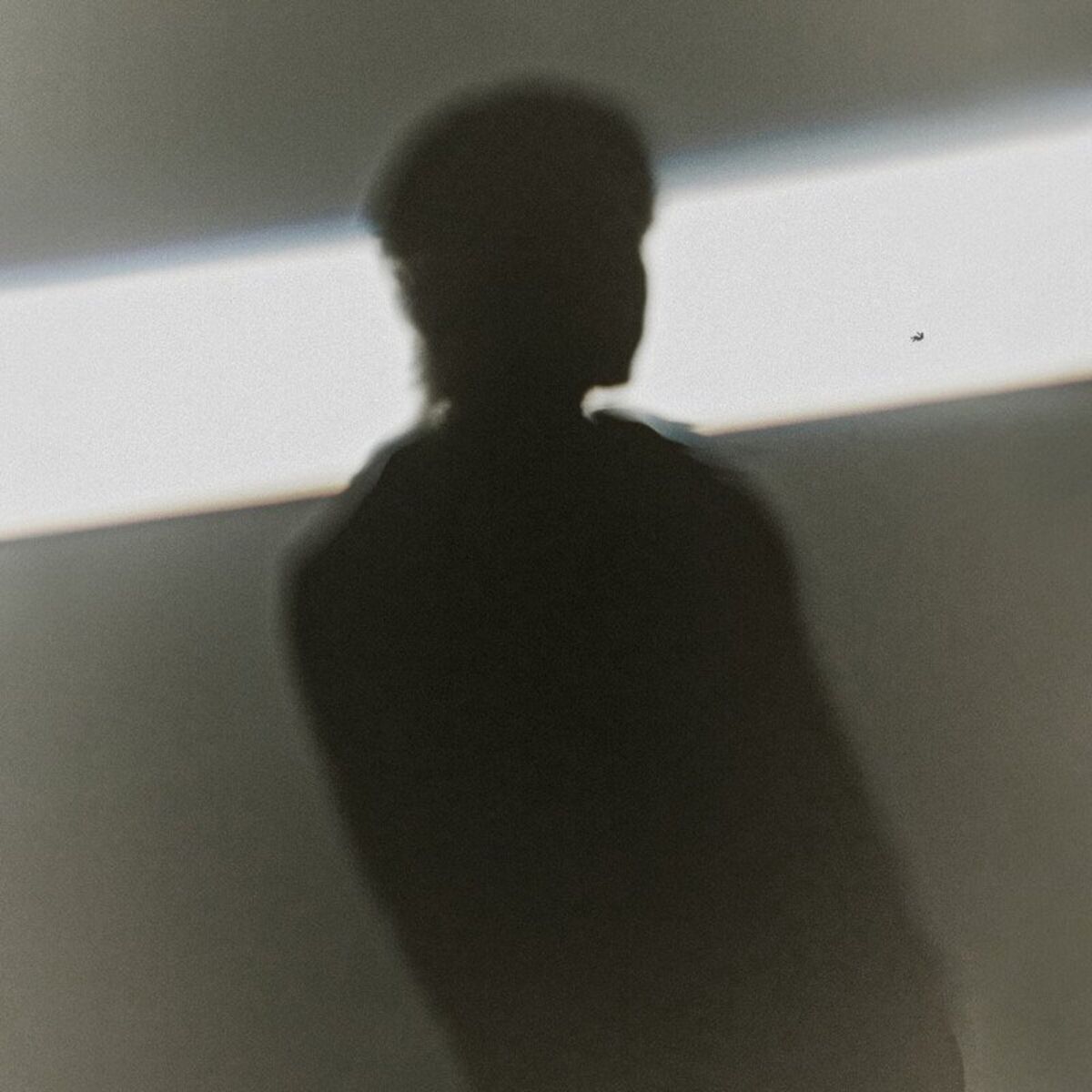 Album cover of free flight