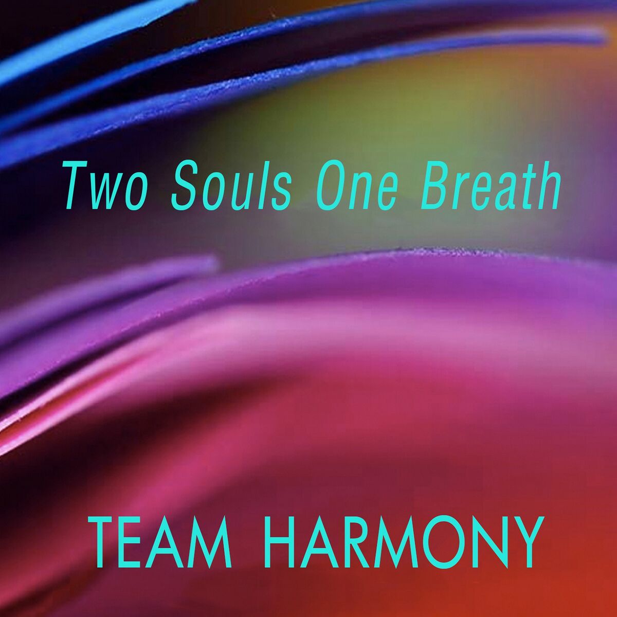Album cover of Two Souls One Breath