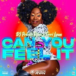 Cover of Can You Feel It