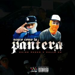Cover of Negro Como La Pantera