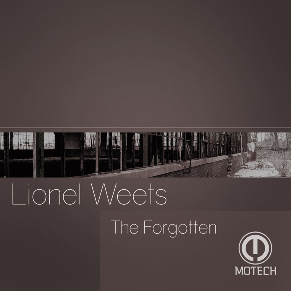Picture of The Forgotten