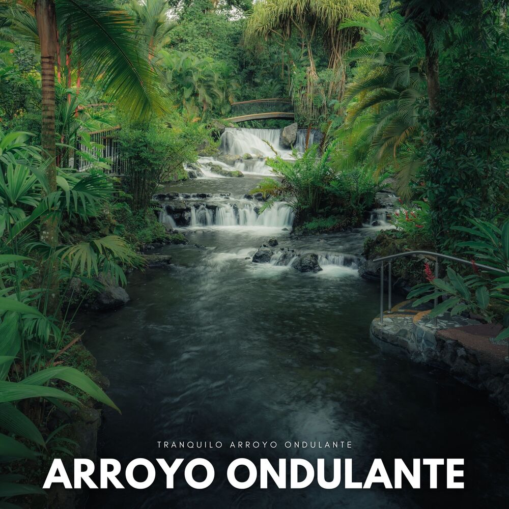 Picture of Tranquilo Arroyo Ondulante
