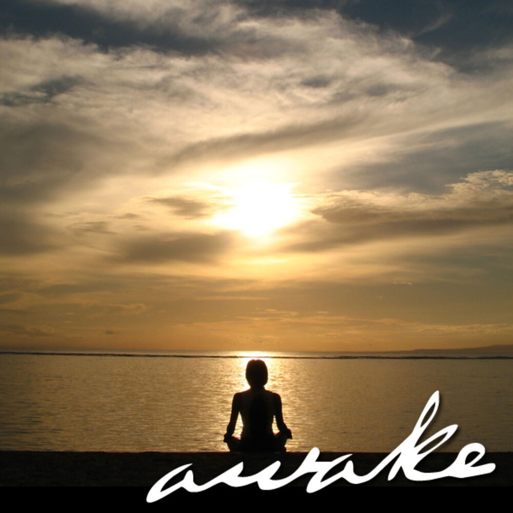 Picture of Awake