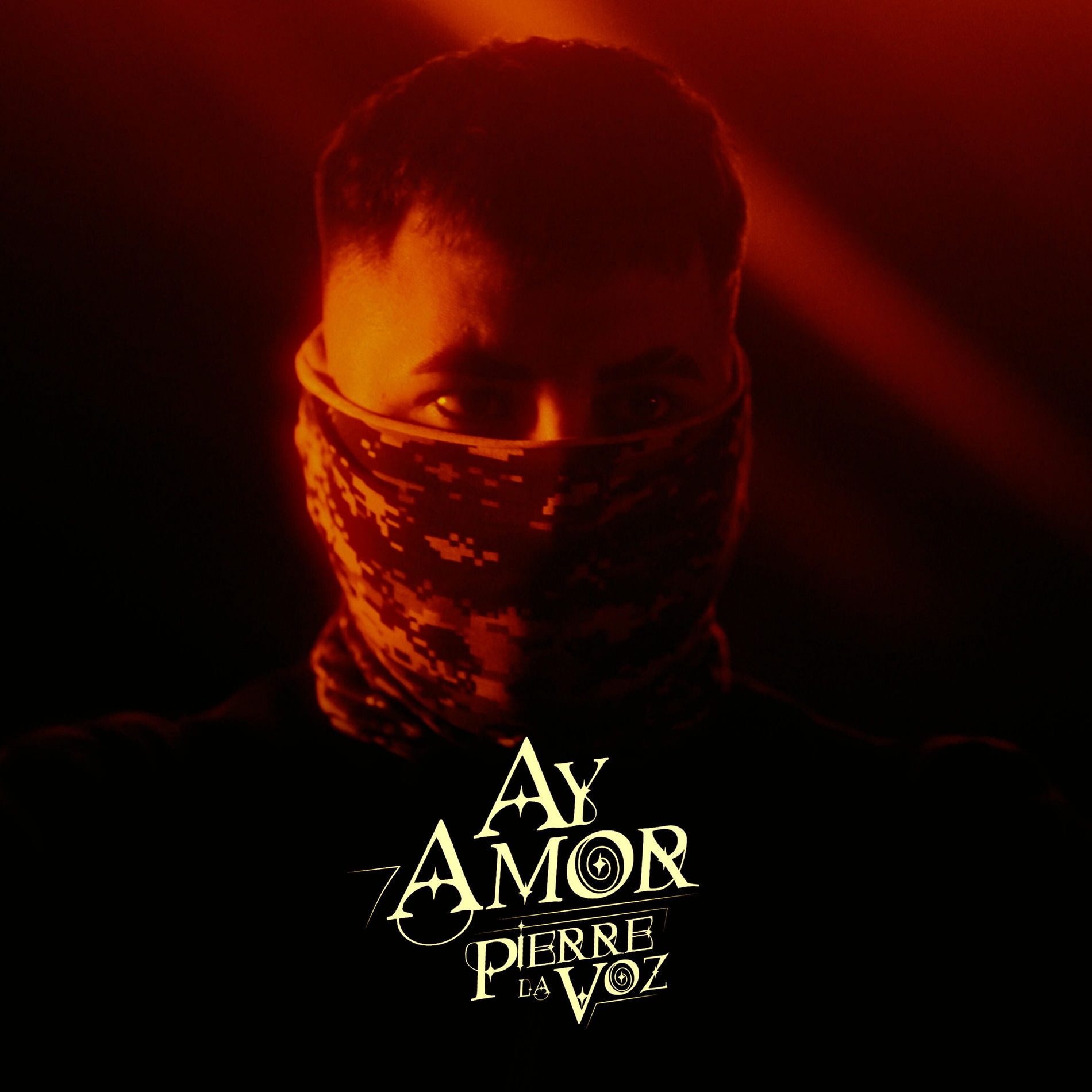 Album cover of Ay Amor