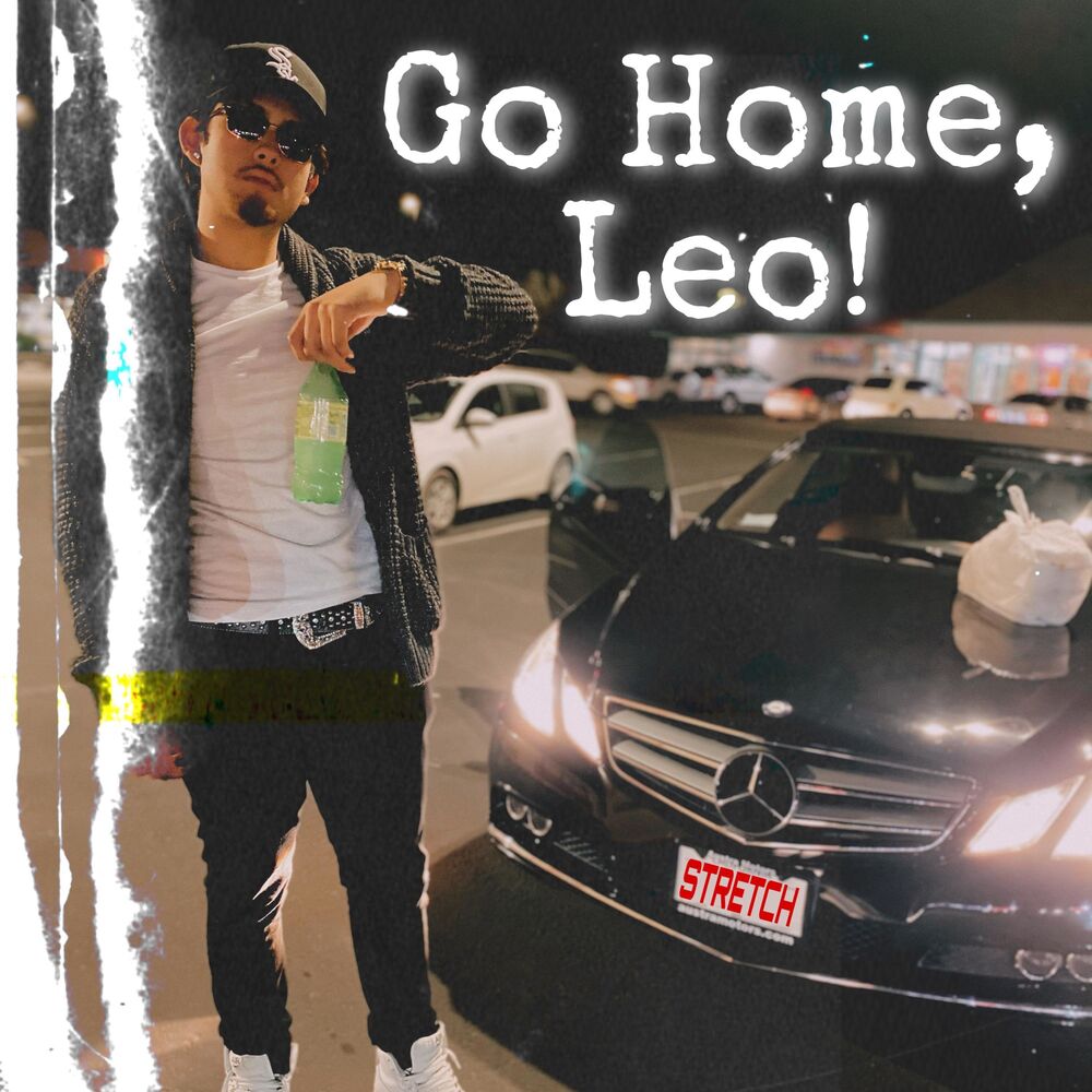 Picture of Go Home, Leo!