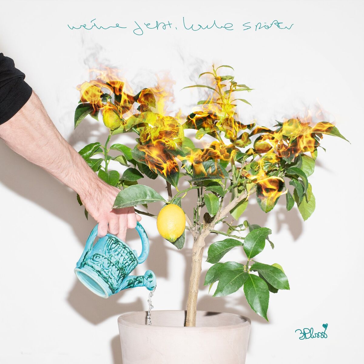 Album cover of weine jetzt, lache später